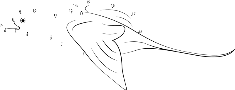 Long Tailed Duck dot to dot worksheets