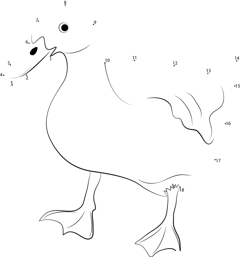 Pet Duck Behavior printable dot to dot worksheet