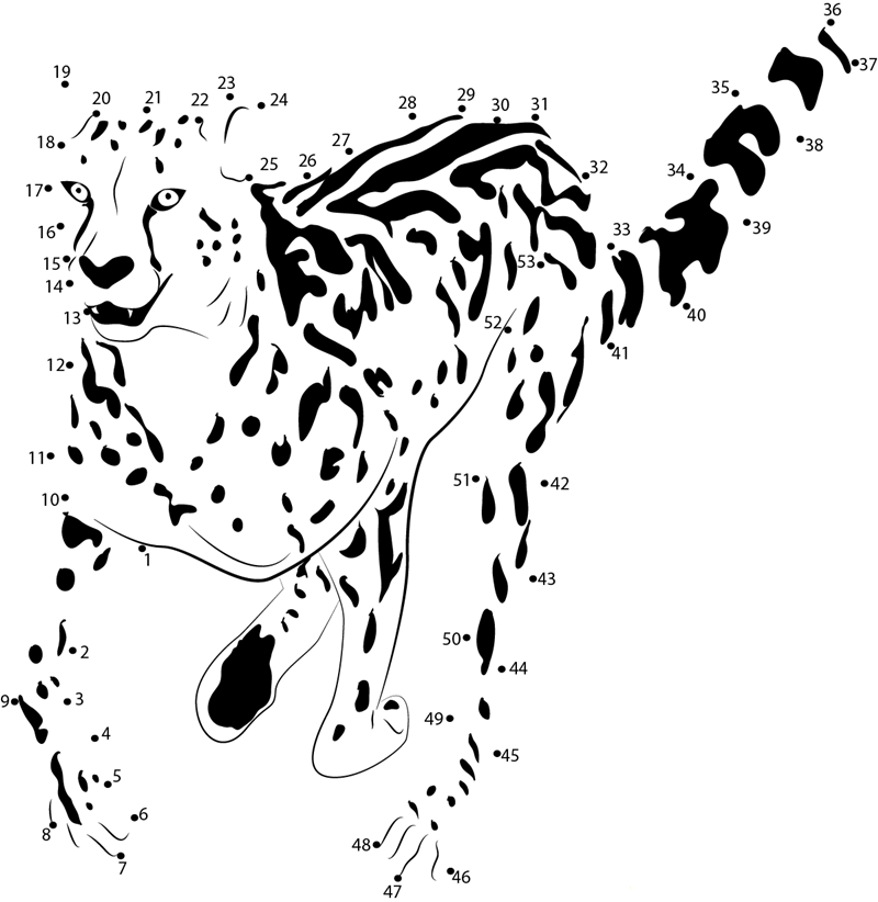 King Cheetah Run printable dot to dot worksheet