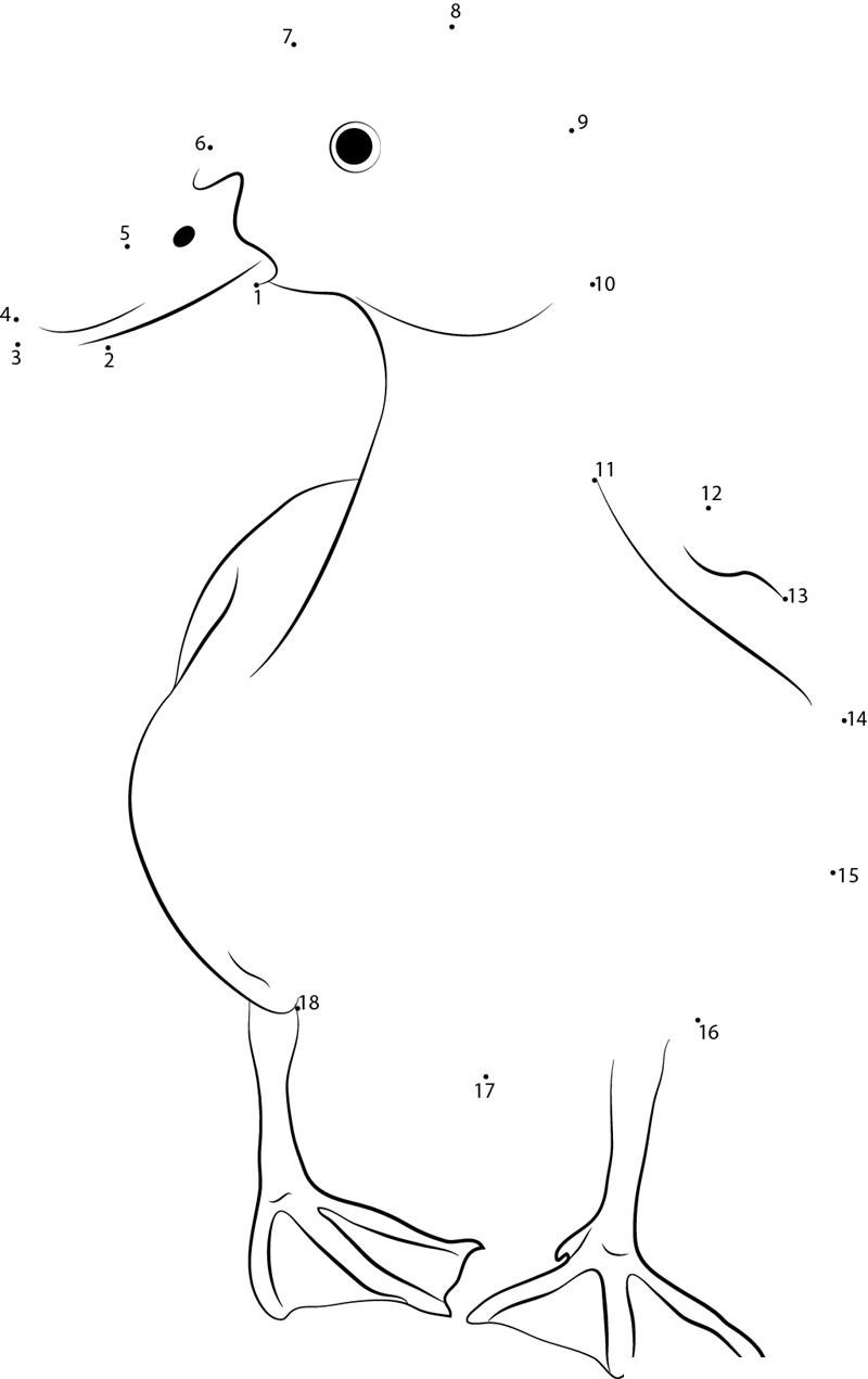 Single Duck printable dot to dot worksheet