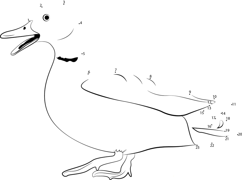 Small Duck dot to dot worksheets