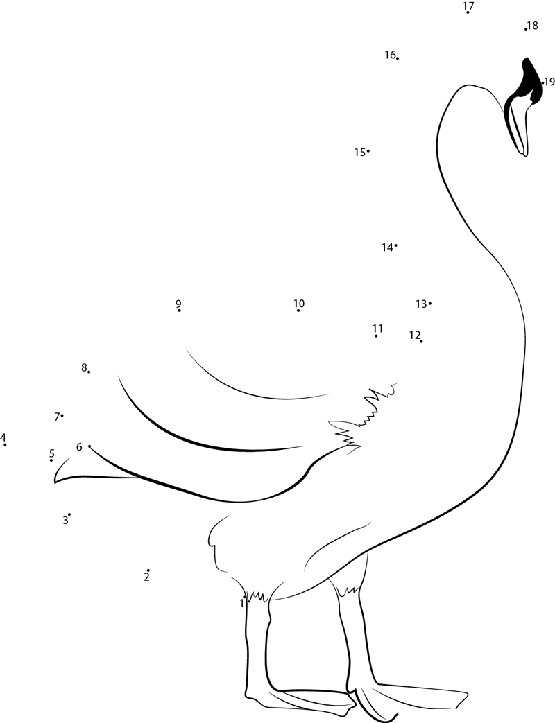 Swan Duck printable dot to dot worksheet