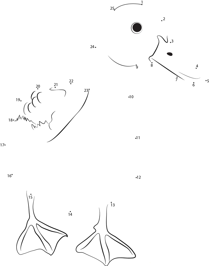 Walking Ducks printable dot to dot worksheet