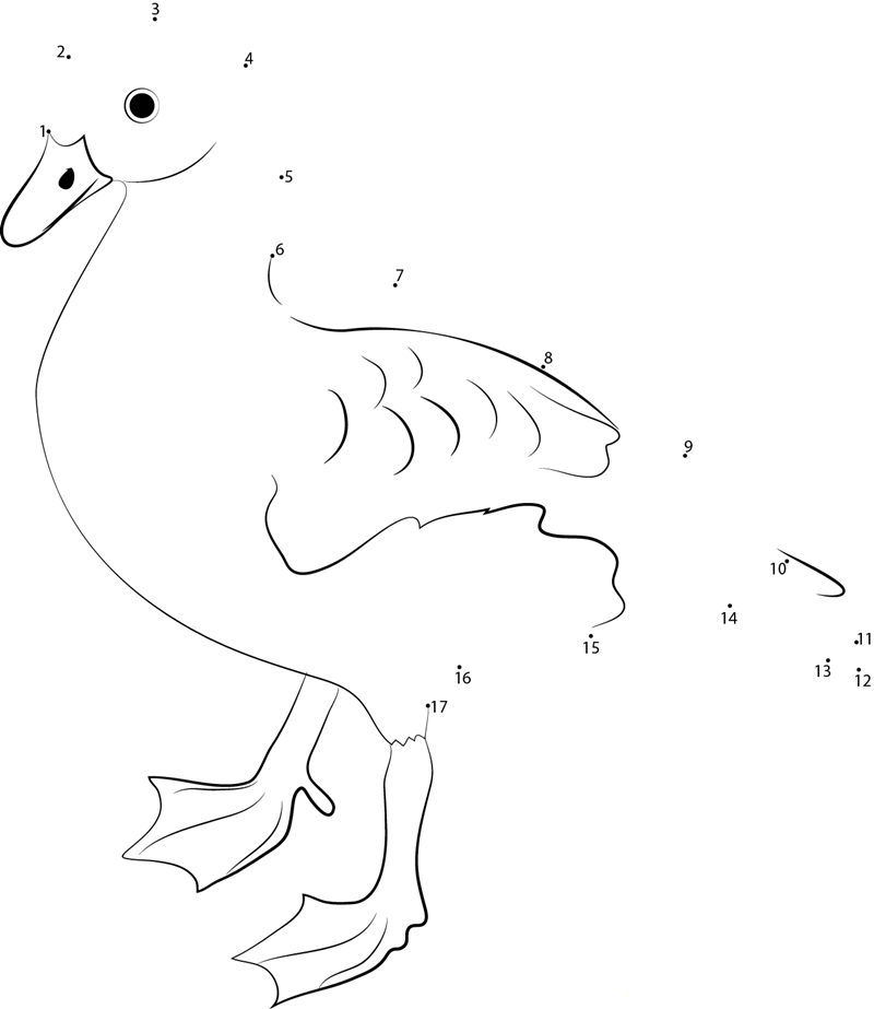 West Indian Whistling Duck printable dot to dot worksheet