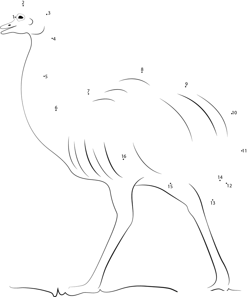 Albino Emu dot to dot worksheets