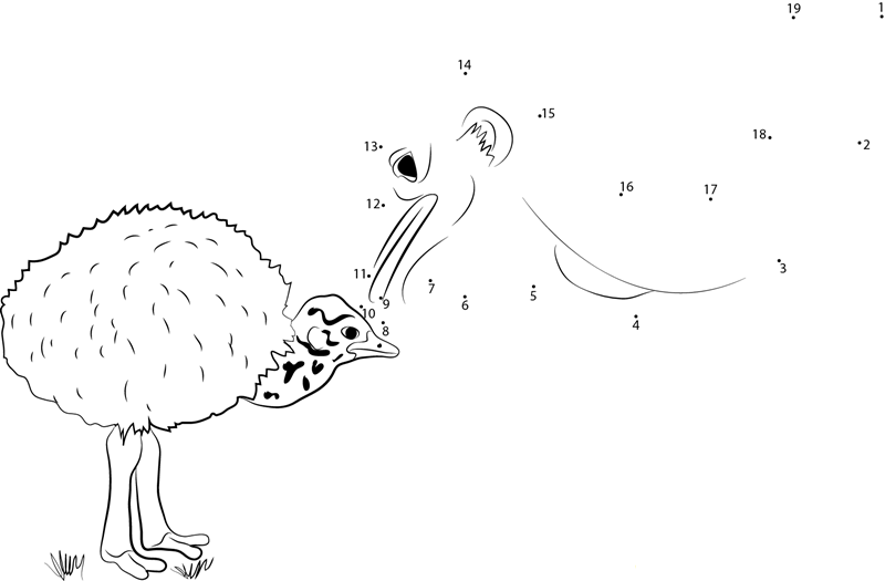 Baby Emu With His Mother dot to dot worksheets