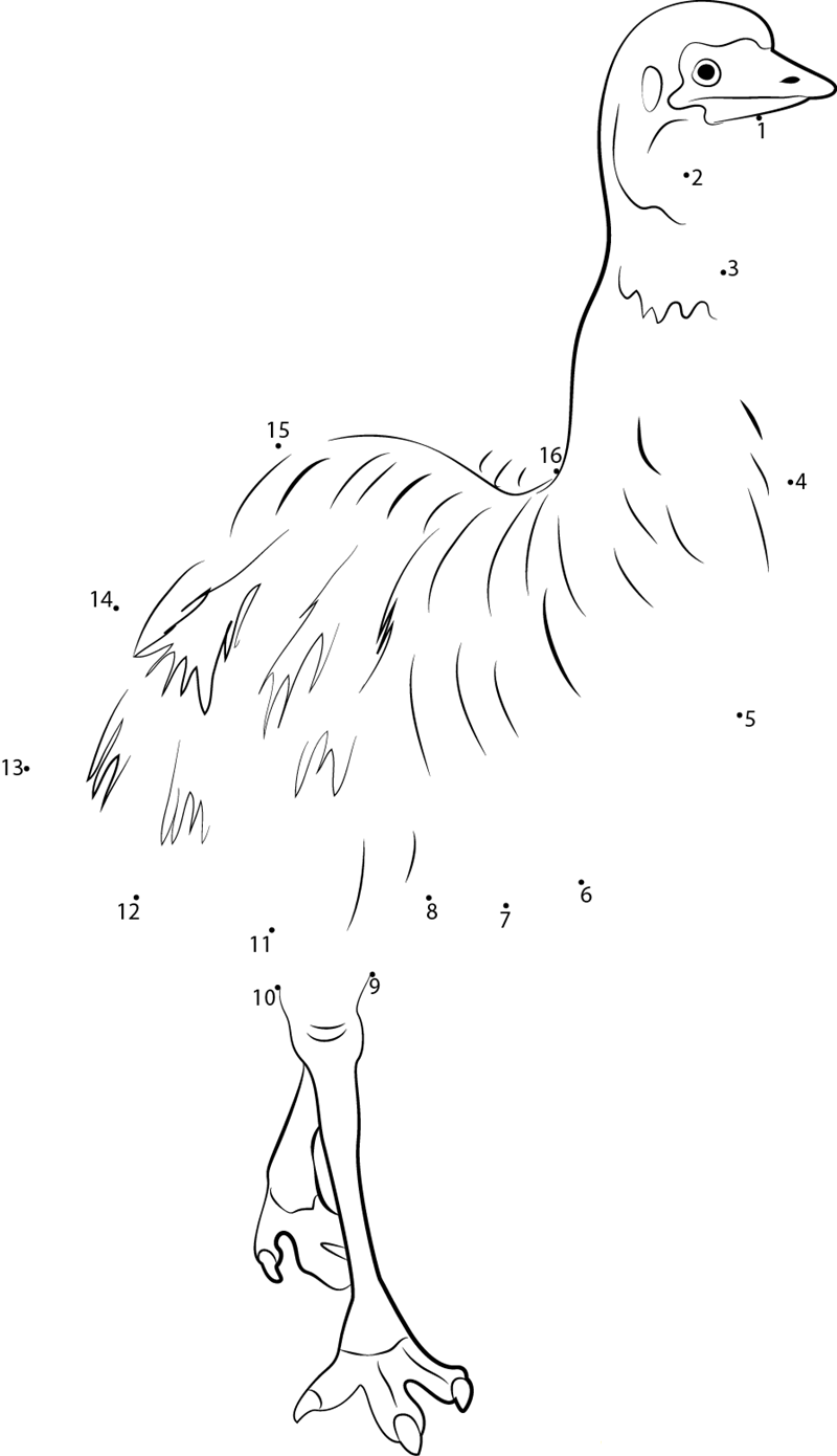 Cute Emu Closeup dot to dot worksheets