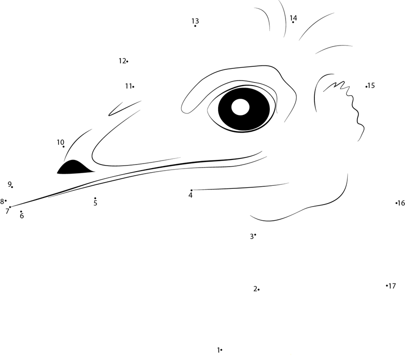 Emu Bird Head dot to dot worksheets