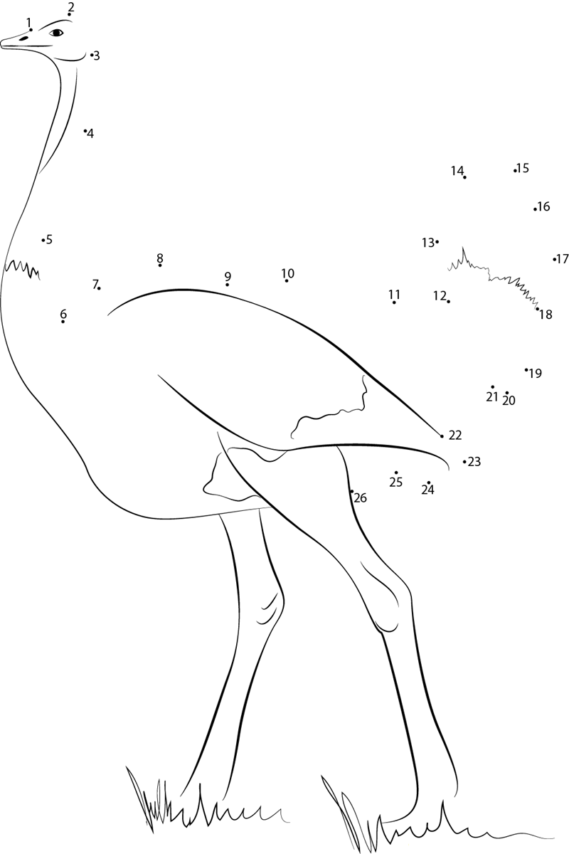 Emu Birds printable dot to dot worksheet