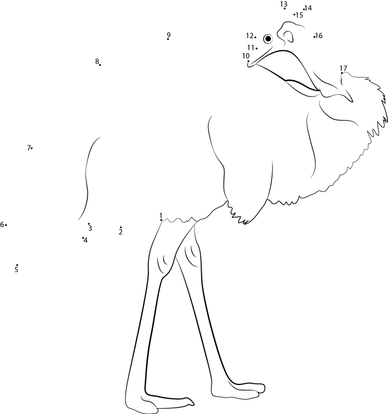 Emu In National Zoo printable dot to dot worksheet