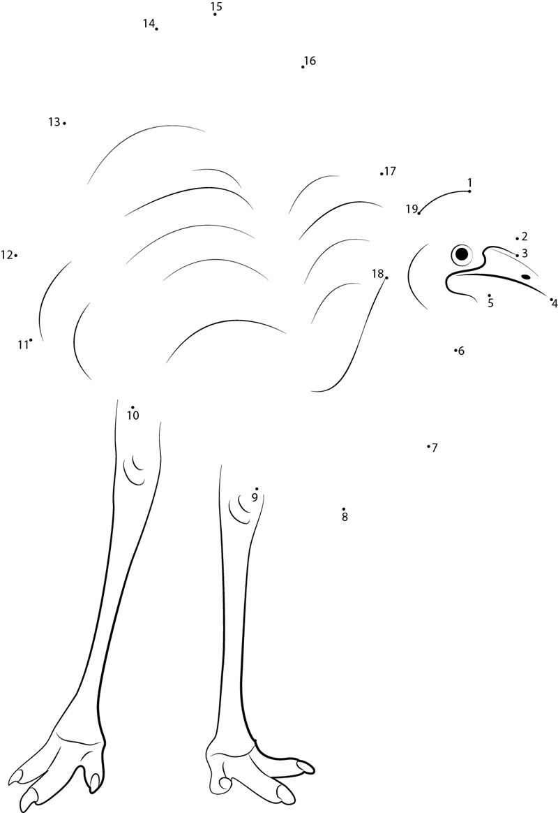 Emu Largest Bird printable dot to dot worksheet