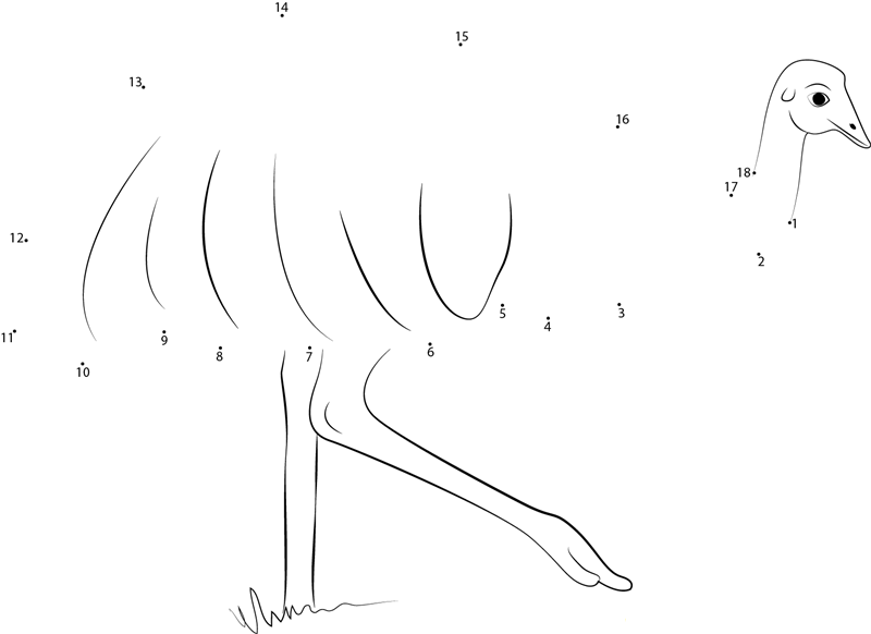 Emu Long Legs printable dot to dot worksheet