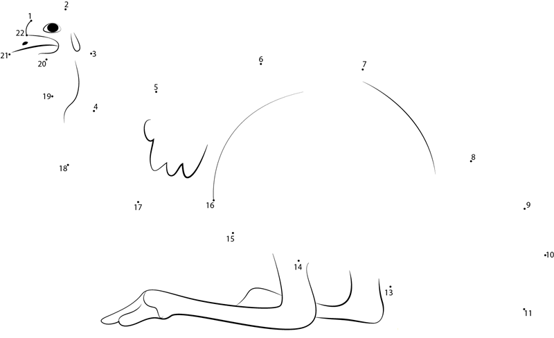 Emu Sitting printable dot to dot worksheet