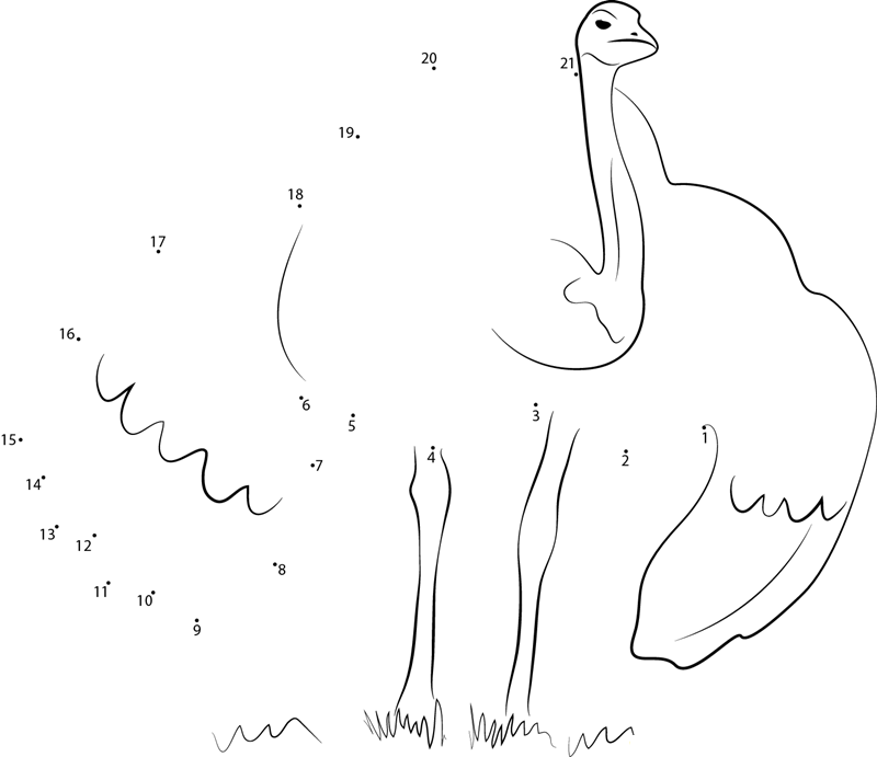 Flightless Emu Bird printable dot to dot worksheet