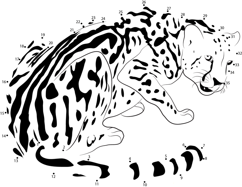 The King Cheetah printable dot to dot worksheet