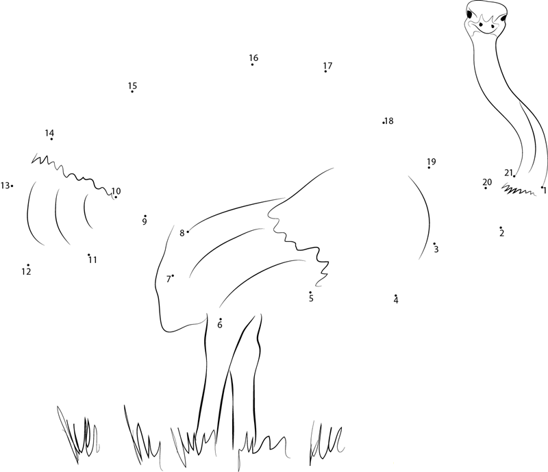 Tasmanian Emu printable dot to dot worksheet