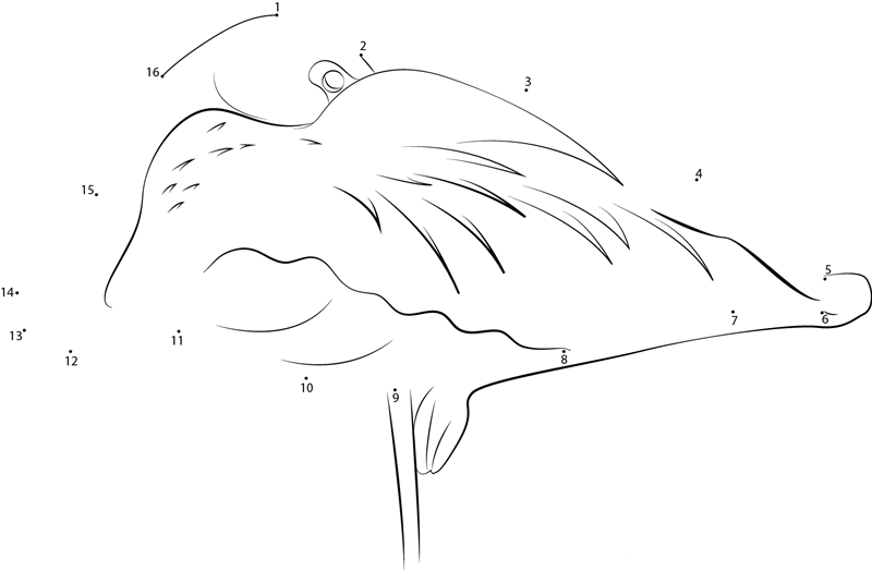 A Sleeping Flamingo Bird dot to dot worksheets