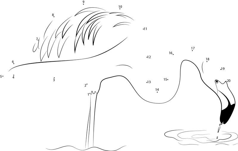 Beautiful Flamingo Bird printable dot to dot worksheet