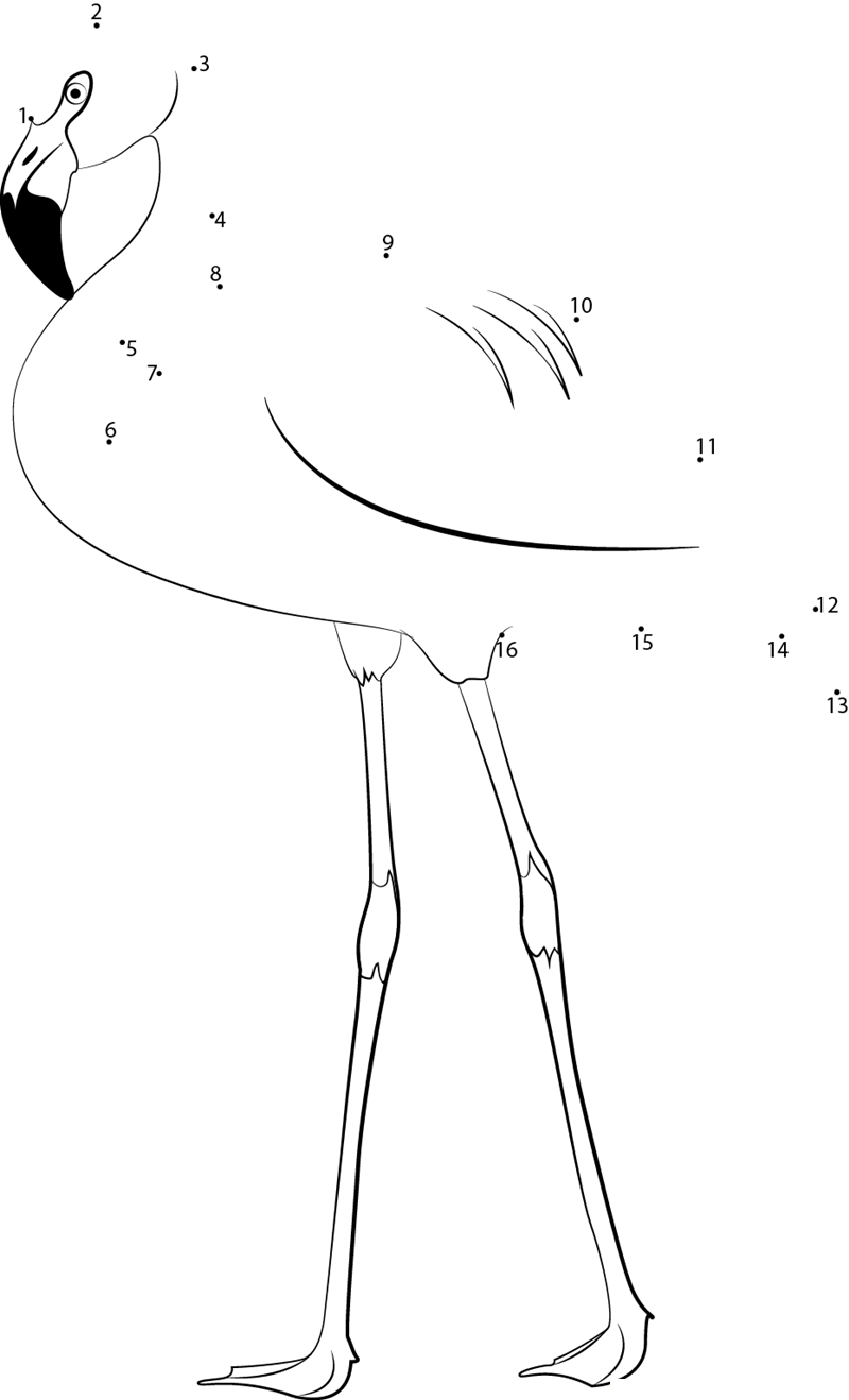 Chilean Flamingo printable dot to dot worksheet