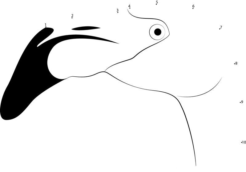 Flamingo Bird Face dot to dot worksheets