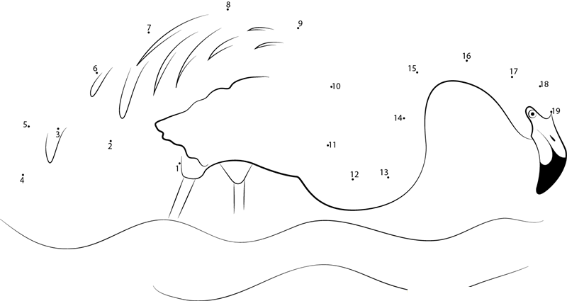 Flamingoes printable dot to dot worksheet