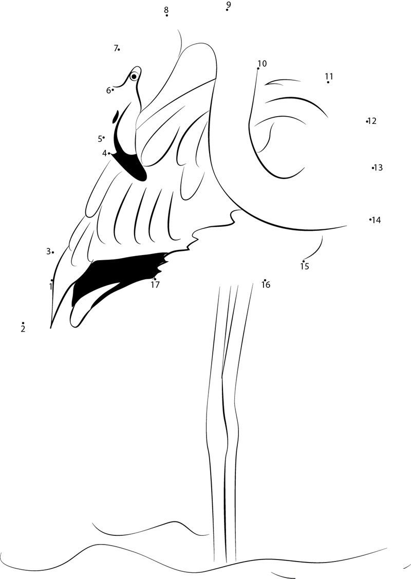 Flamingos At A Zoo dot to dot worksheets