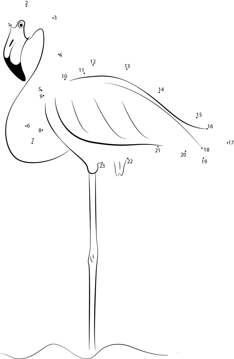 Flamingos Stand On One Leg In Water printable dot to dot worksheet