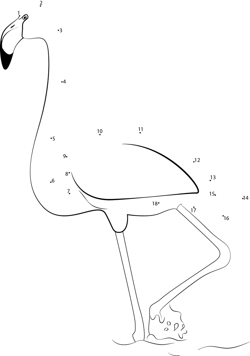 Phoenicoparrus Jamesi dot to dot worksheets