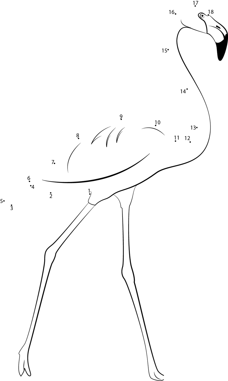 Phoenicopterus dot to dot worksheets