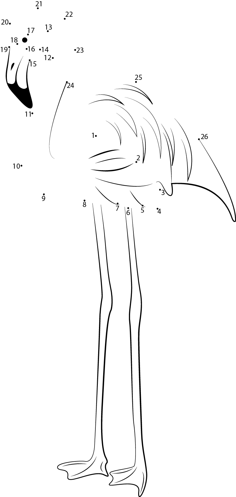 Phoenicopterus Minor dot to dot worksheets