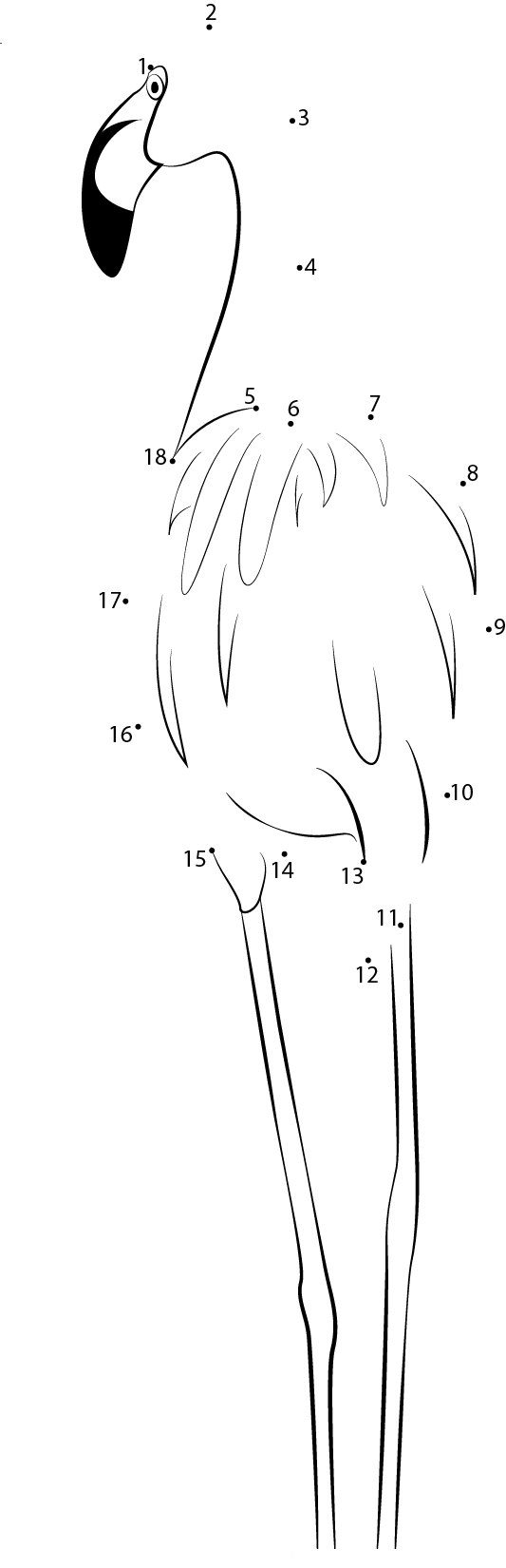 Phoenicopterus Ruber dot to dot worksheets