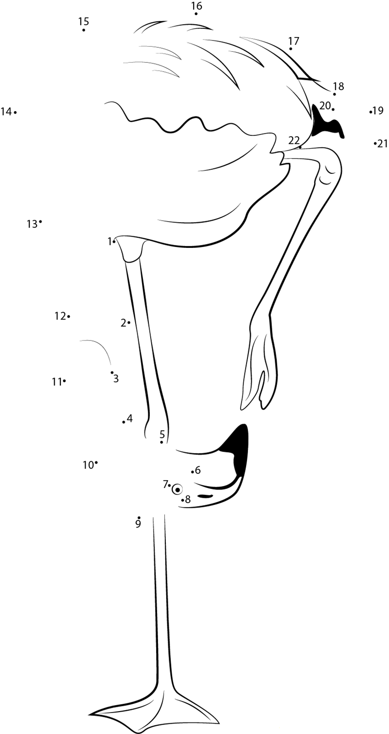 The Caribbean Flamingo printable dot to dot worksheet