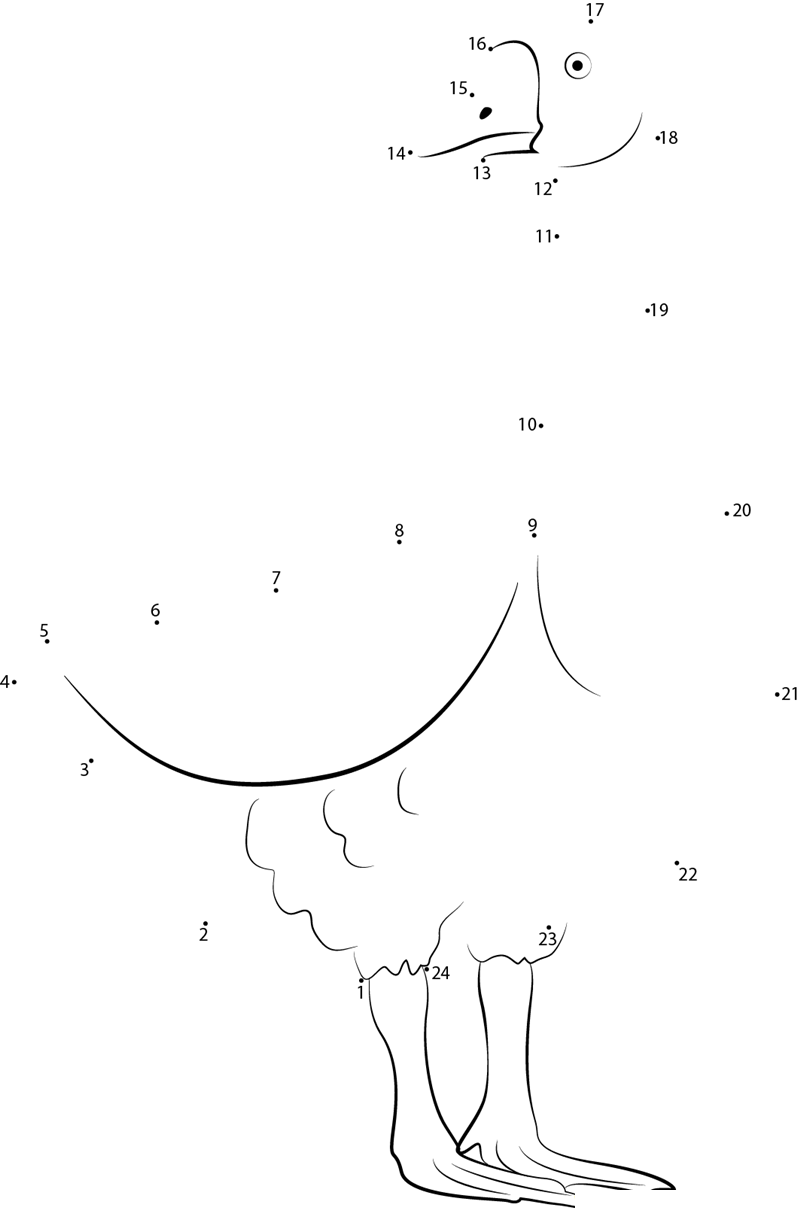 Banding Geese dot to dot worksheets