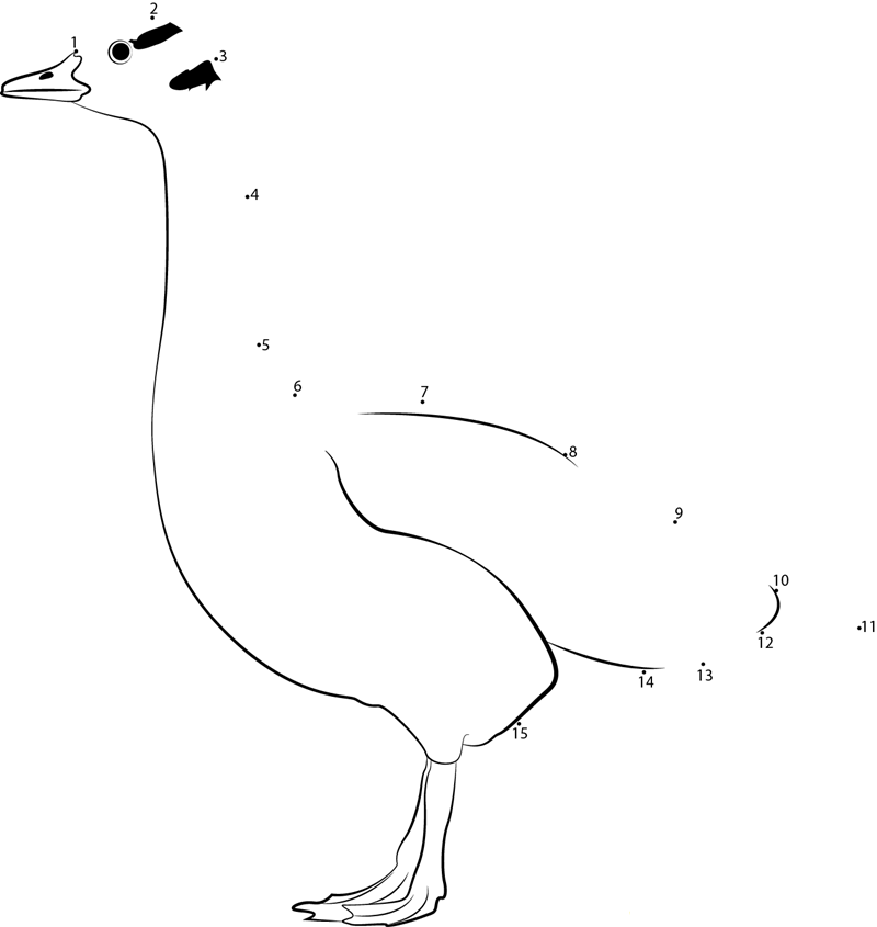 Bar Headed Goose dot to dot worksheets