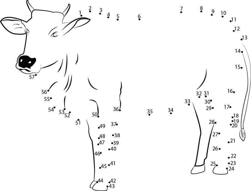 Cow Dot Pages 1 dot to dot worksheets