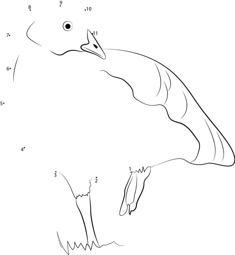 Emden Goose At The Birmingham Zoo dot to dot worksheets