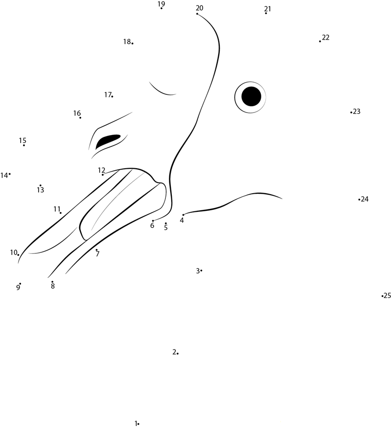 Goose Face dot to dot worksheets