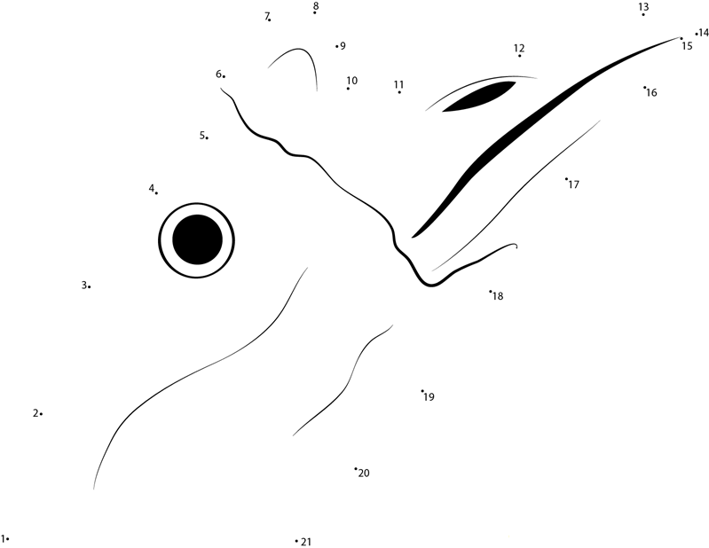 White Goose Lifting Head dot to dot worksheets