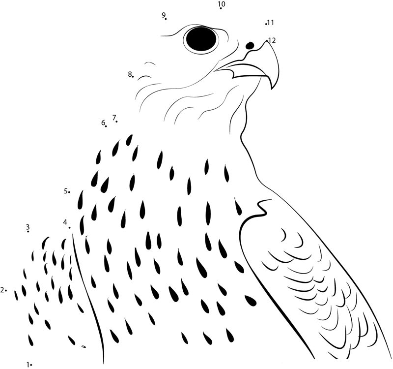 A Hybrid White Gyrfalcon printable dot to dot worksheet