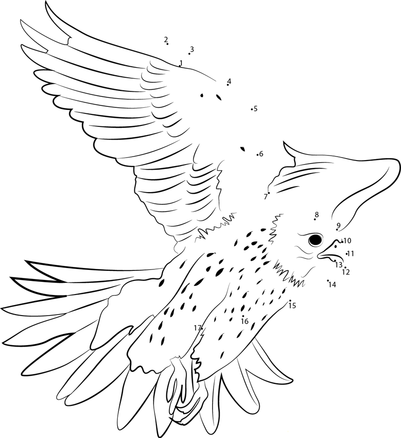 A Young White Gyrfalcon printable dot to dot worksheet