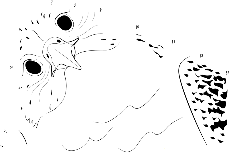 Gyrfalcon Face dot to dot worksheets