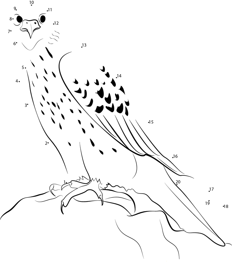 Gyrfalcon Hunting dot to dot worksheets