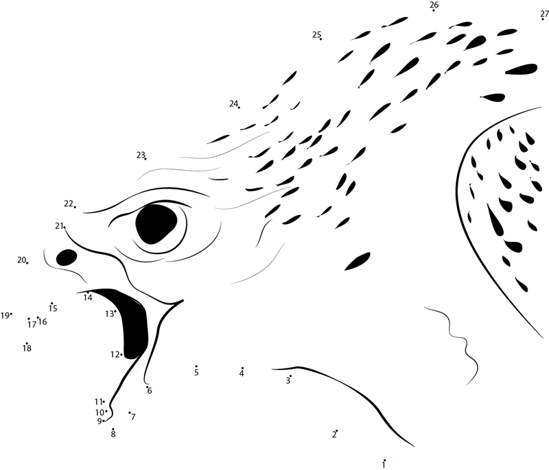 White Gyrfalcon Angry printable dot to dot worksheet