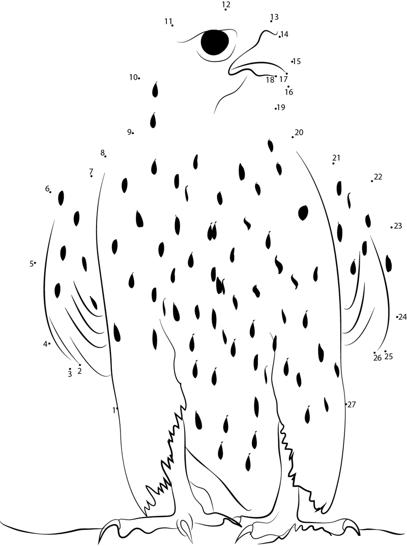 Young Gyrfalcon Resting After Lunch printable dot to dot worksheet