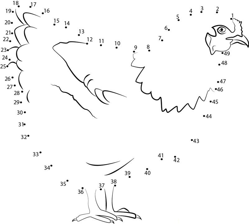 Healthy Hen printable dot to dot worksheet