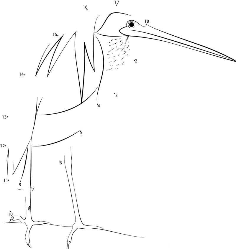 Agami Heron printable dot to dot worksheet