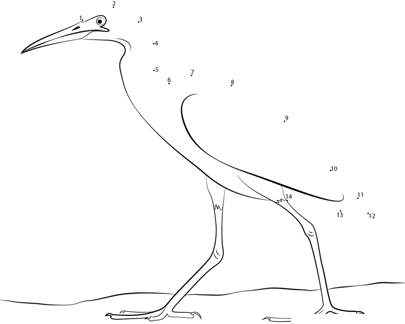 Beautiful Heron printable dot to dot worksheet