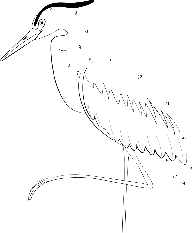 Beautiful Heron Bird printable dot to dot worksheet