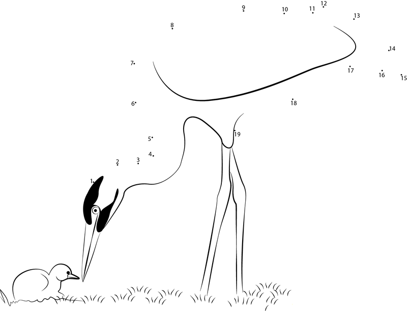 Beautiful Heron Bird With Chick printable dot to dot worksheet