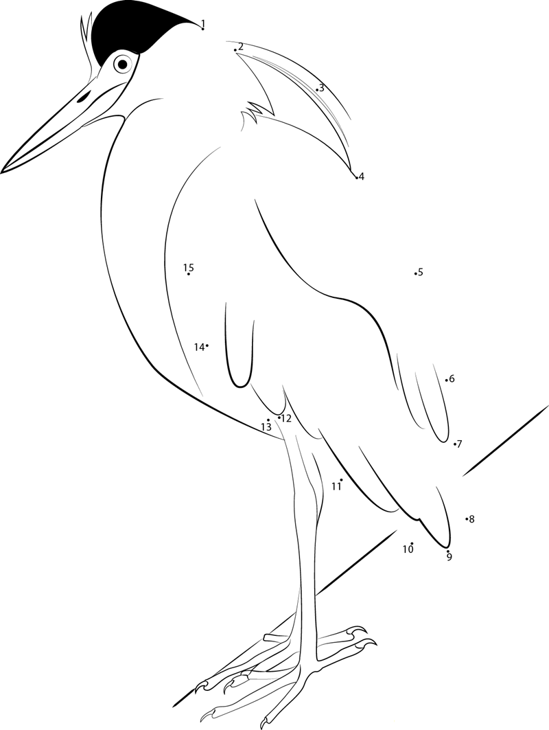 Capped Heron dot to dot worksheets